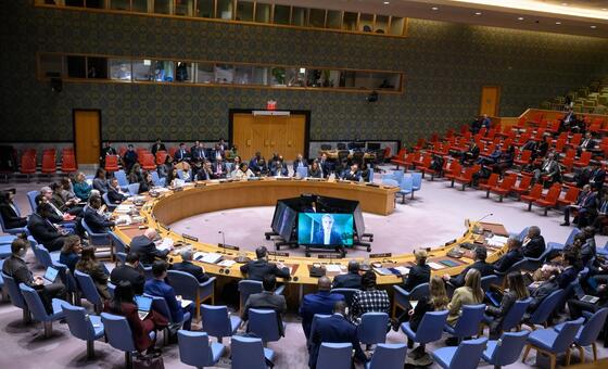 安全理事会关于海地问题的会议